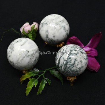 Tree Agate Spheres