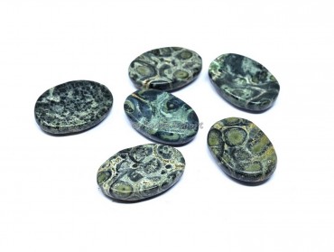 Kambaba Jasper Worry Stone